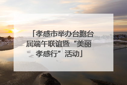 孝感市举办台胞台属端午联谊暨“美丽孝感行”活动