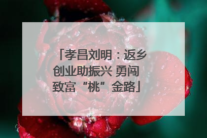 孝昌刘明：返乡创业助振兴 勇闯致富“桃”金路