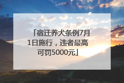 宿迁养犬条例7月1日施行，违者最高可罚5000元