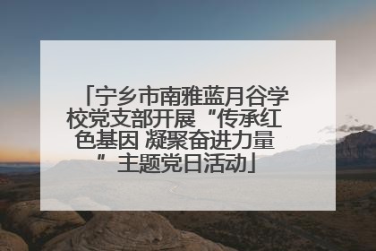 宁乡市南雅蓝月谷学校党支部开展“传承红色基因 凝聚奋进力量”主题党日活动