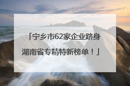 宁乡市62家企业跻身湖南省专精特新榜单！