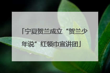 宁夏贺兰成立“贺兰少年说”红领巾宣讲团