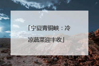 宁夏青铜峡：冷凉蔬菜迎丰收