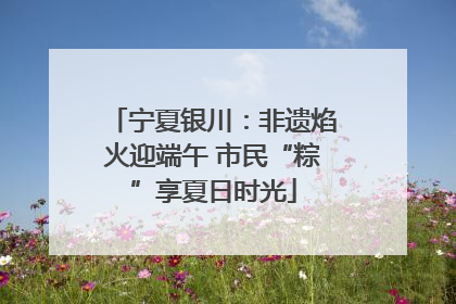 宁夏银川：非遗焰火迎端午 市民“粽”享夏日时光