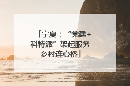 宁夏：“党建+科特派”架起服务乡村连心桥