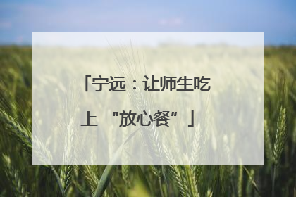 宁远：让师生吃上 “放心餐”