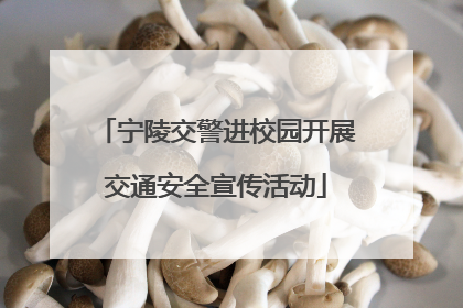 宁陵交警进校园开展交通安全宣传活动