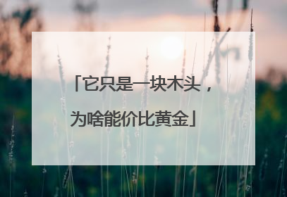 它只是一块木头，为啥能价比黄金