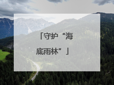 守护“海底雨林”