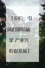 安仁：引凤归巢结硕果 产业兴旺促发展