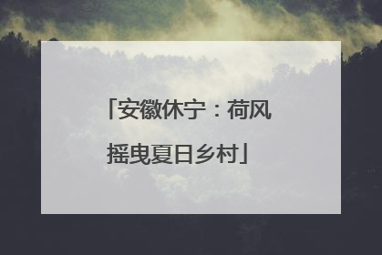 安徽休宁：荷风摇曳夏日乡村