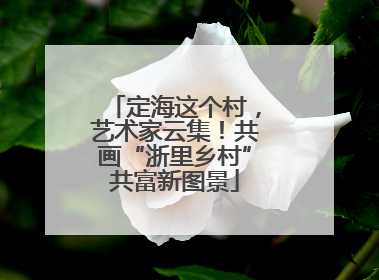 定海这个村，艺术家云集！共画“浙里乡村”共富新图景