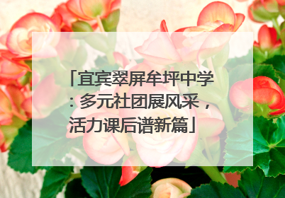 宜宾翠屏牟坪中学：多元社团展风采，活力课后谱新篇