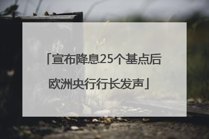 宣布降息25个基点后 欧洲央行行长发声