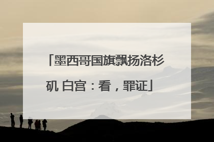 墨西哥国旗飘扬洛杉矶 白宫：看，罪证
