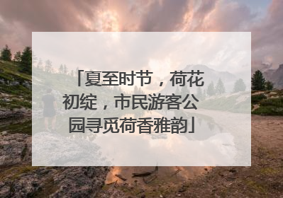 夏至时节，荷花初绽，市民游客公园寻觅荷香雅韵