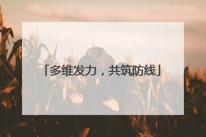 多维发力，共筑防线