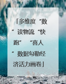 多维度“数”读物流“快跑” “喜人”数据勾勒经济活力画卷