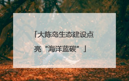 大陈岛生态建设点亮“海洋蓝碳”