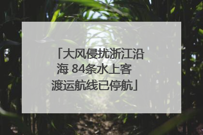 大风侵扰浙江沿海 84条水上客渡运航线已停航
