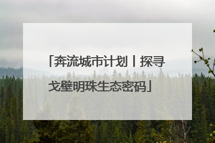 奔流城市计划丨探寻戈壁明珠生态密码