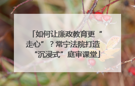 如何让廉政教育更“走心”？常宁法院打造“沉浸式”庭审课堂