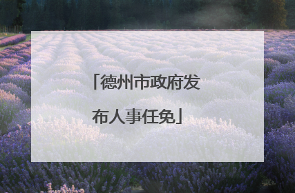 德州市政府发布人事任免