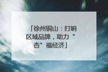 徐州铜山：打响区域品牌，助力“杏”福经济