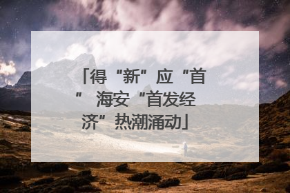 得“新”应“首” 海安“首发经济”热潮涌动
