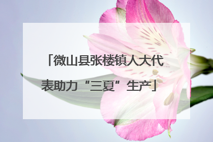 微山县张楼镇人大代表助力“三夏”生产