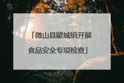 微山县驩城镇开展食品安全专项检查