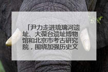 尹力走进琉璃河遗址、大葆台遗址博物馆和北京市考古研究院，围绕加强历史文化名城保护调研