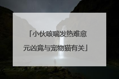 小伙咳喘发热难愈 元凶竟与宠物猫有关