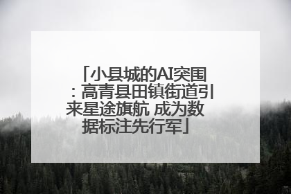 小县城的AI突围：高青县田镇街道引来星途旗航 成为数据标注先行军