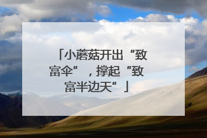 小蘑菇开出“致富伞”，撑起“致富半边天”
