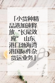 小货种精品港加速释放“长尾效应” 山东港口渤海湾港国际件杂货运业务