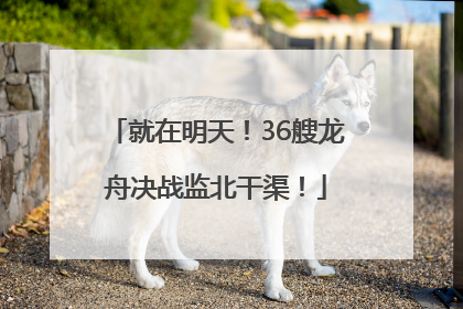 就在明天！36艘龙舟决战监北干渠！