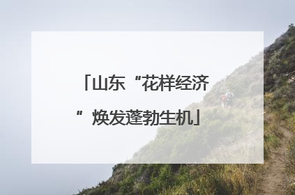山东“花样经济”焕发蓬勃生机