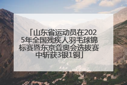 山东省运动员在2025年全国残疾人羽毛球锦标赛暨东京聋奥会选拔赛中斩获3银1铜