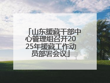 山东援藏干部中心管理组召开2025年援藏工作动员部署会议