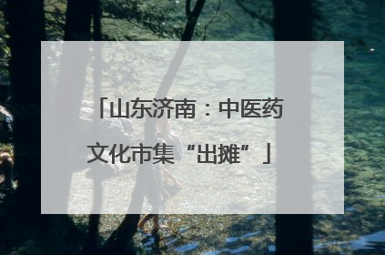 山东济南：中医药文化市集“出摊”