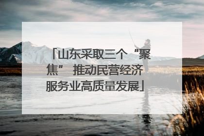山东采取三个“聚焦” 推动民营经济服务业高质量发展