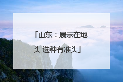 山东：展示在地头 选种有准头