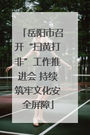 岳阳市召开“扫黄打非”工作推进会 持续筑牢文化安全屏障