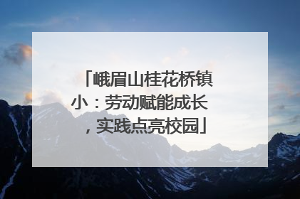 峨眉山桂花桥镇小：劳动赋能成长，实践点亮校园