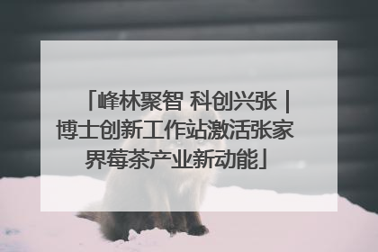 峰林聚智 科创兴张｜博士创新工作站激活张家界莓茶产业新动能
