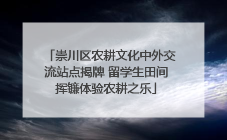 崇川区农耕文化中外交流站点揭牌 留学生田间挥镰体验农耕之乐