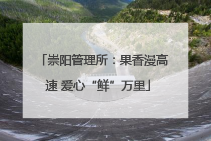 崇阳管理所：果香漫高速 爱心“鲜”万里