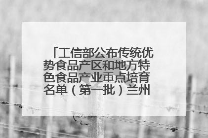 工信部公布传统优势食品产区和地方特色食品产业重点培育名单（第一批）兰州牛肉拉面位列其中