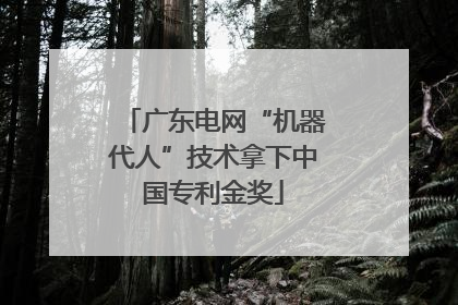 广东电网“机器代人”技术拿下中国专利金奖